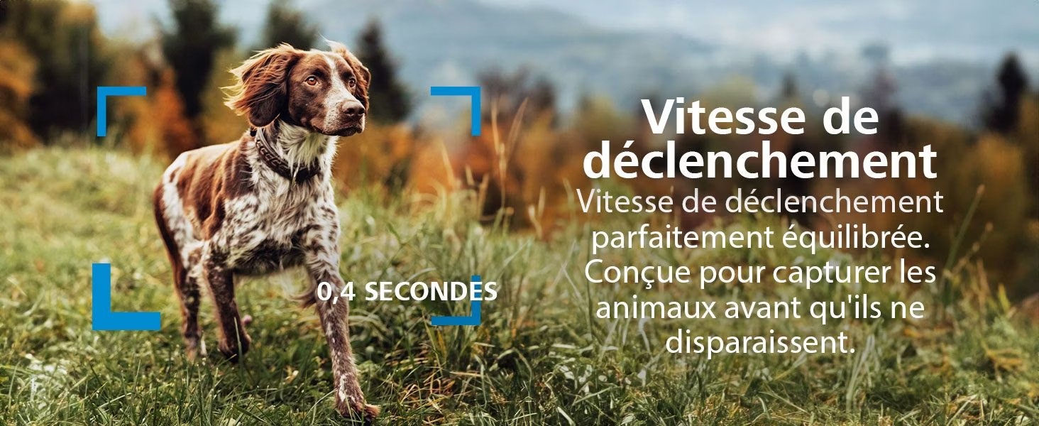 Réactivité de la ZEISS Secacam 7 permettant de capturer des images nettes d'animaux en mouvement